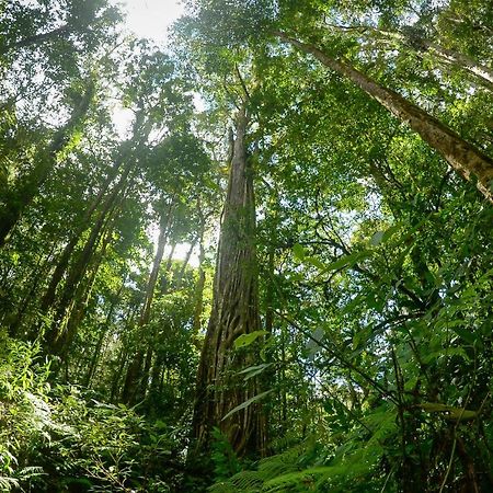 Отель Talamanca Nature Reserve Rivas Экстерьер фото