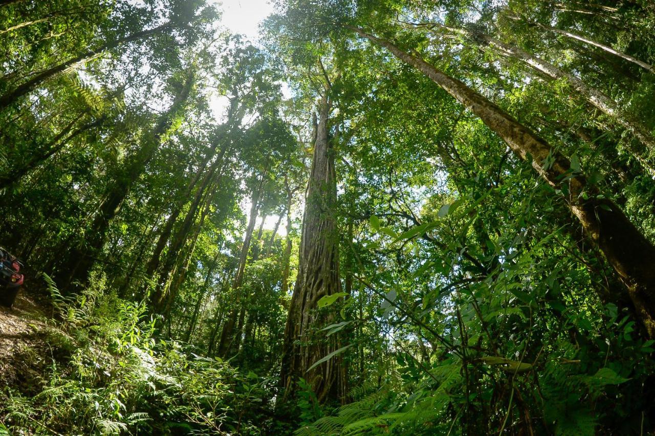 Отель Talamanca Nature Reserve Rivas Экстерьер фото