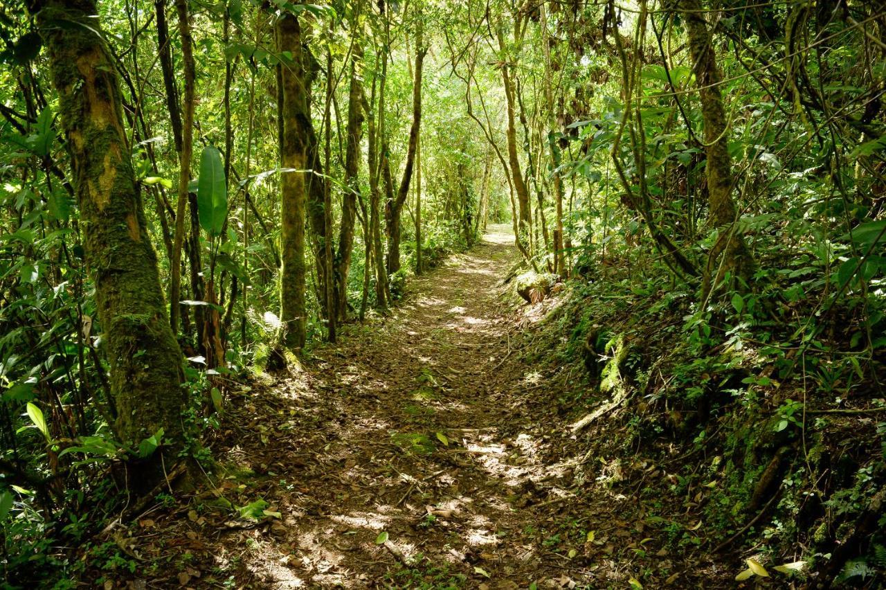 Отель Talamanca Nature Reserve Rivas Экстерьер фото