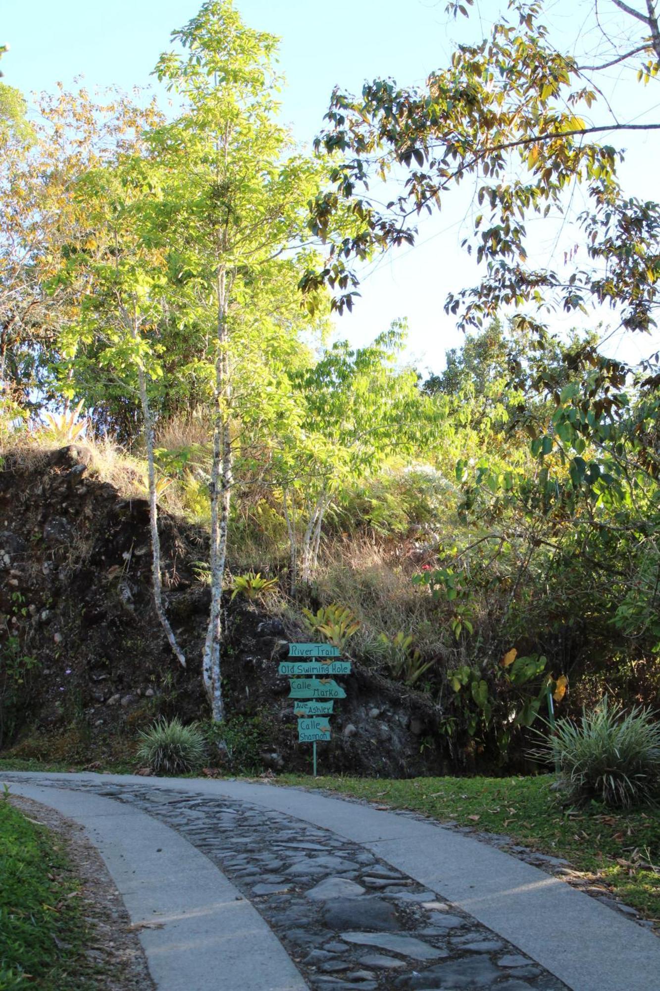 Отель Talamanca Nature Reserve Rivas Экстерьер фото