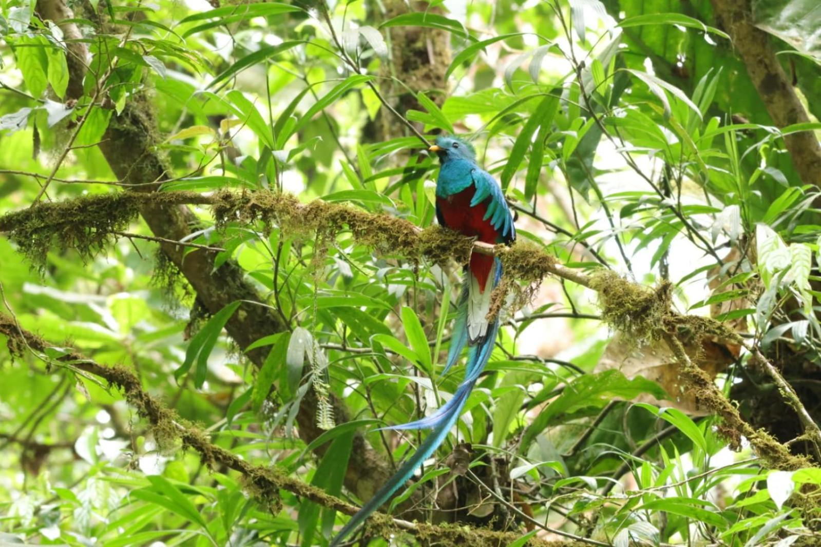 Отель Talamanca Nature Reserve Rivas Экстерьер фото