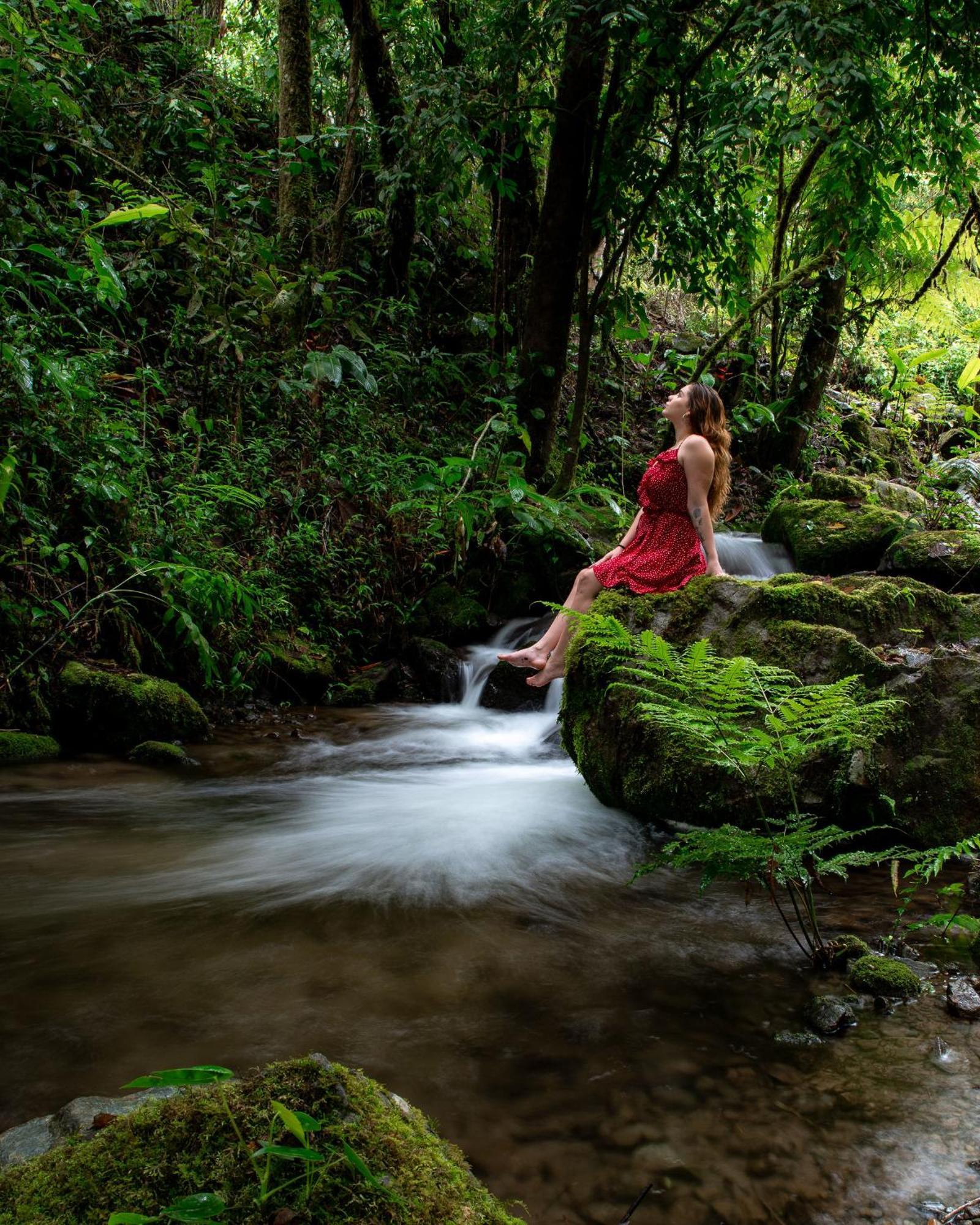 Отель Talamanca Nature Reserve Rivas Экстерьер фото