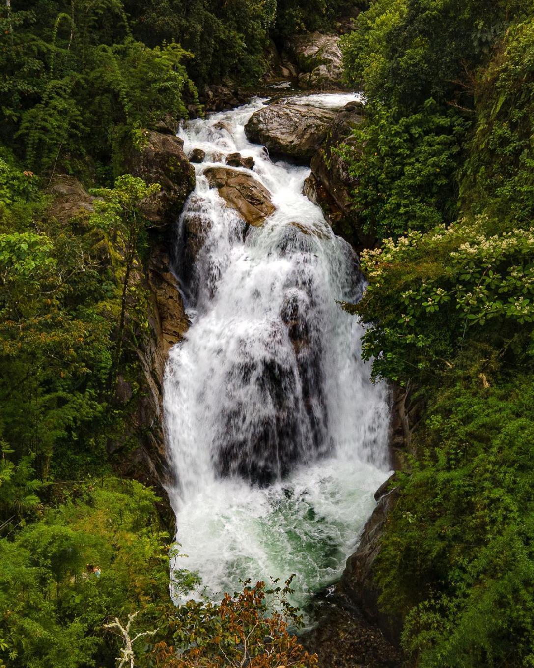 Отель Talamanca Nature Reserve Rivas Экстерьер фото