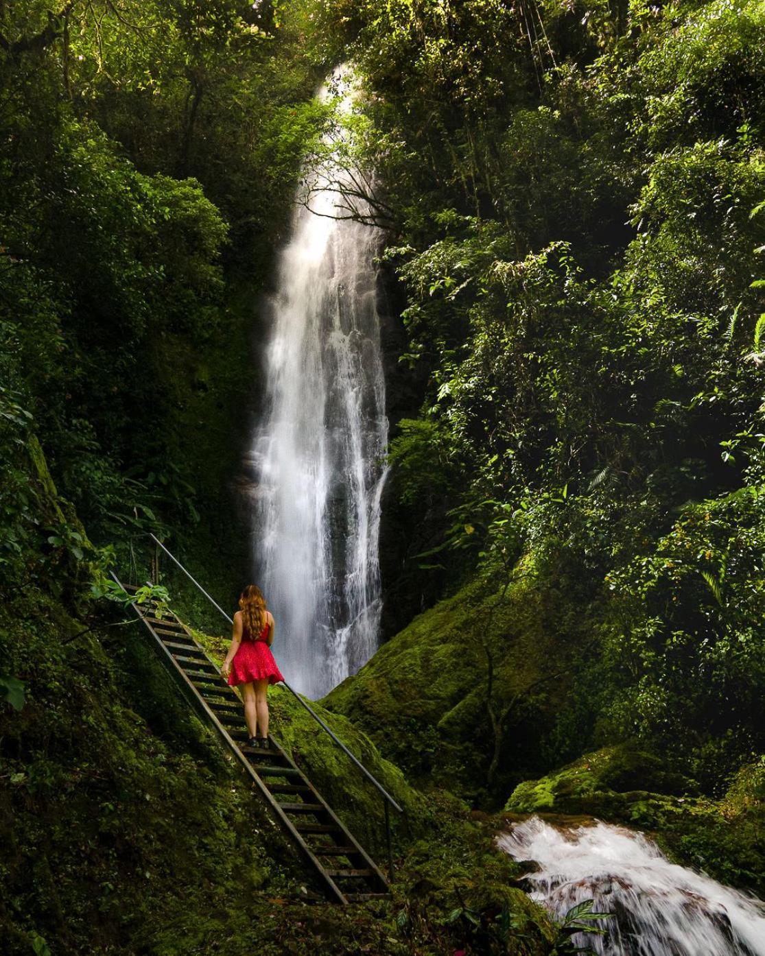 Отель Talamanca Nature Reserve Rivas Экстерьер фото