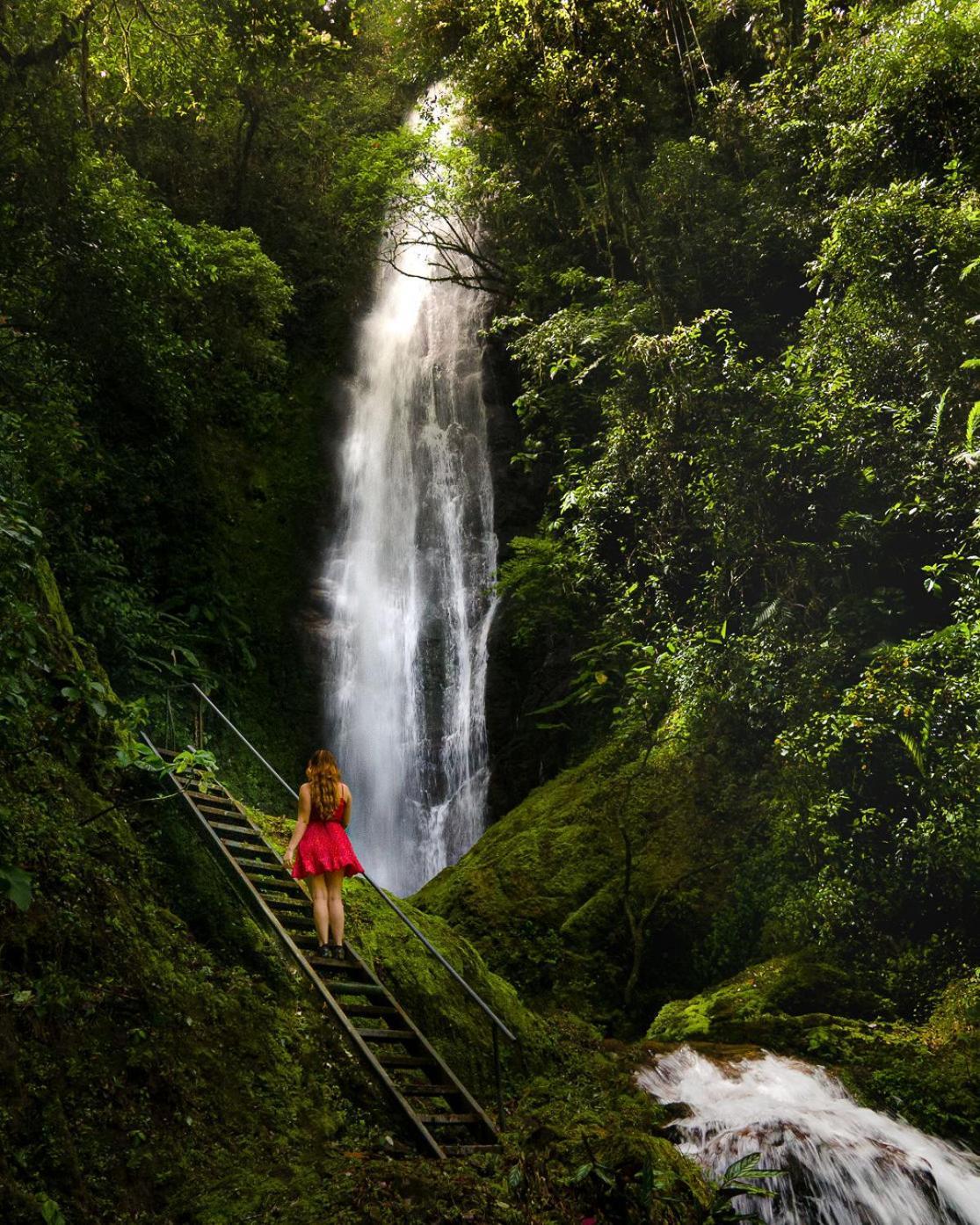 Talamanca Nature Reserve Rivas Экстерьер фото