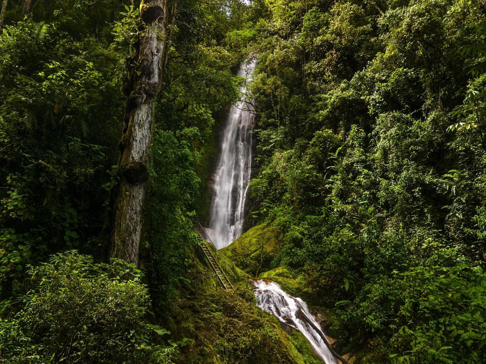 Отель Talamanca Nature Reserve Rivas Экстерьер фото