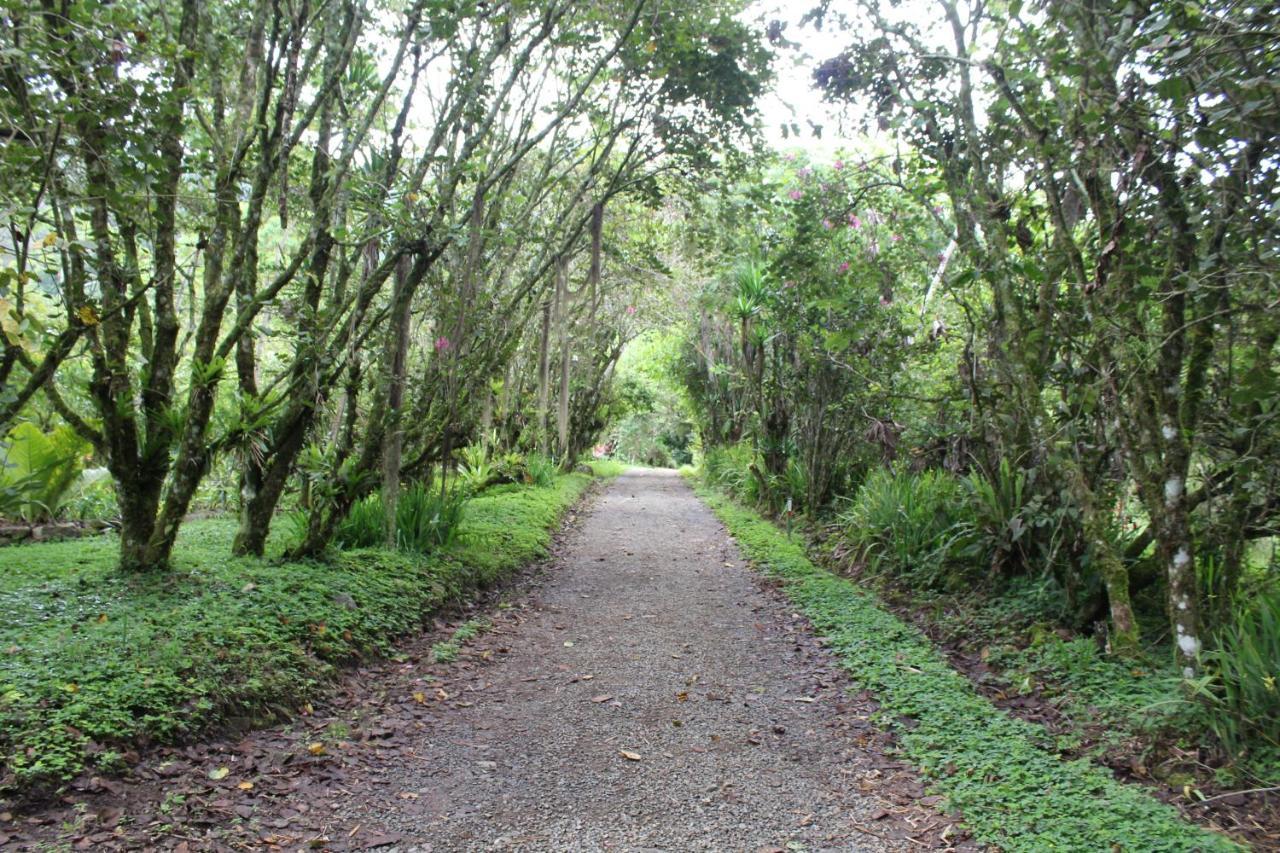 Отель Talamanca Nature Reserve Rivas Экстерьер фото